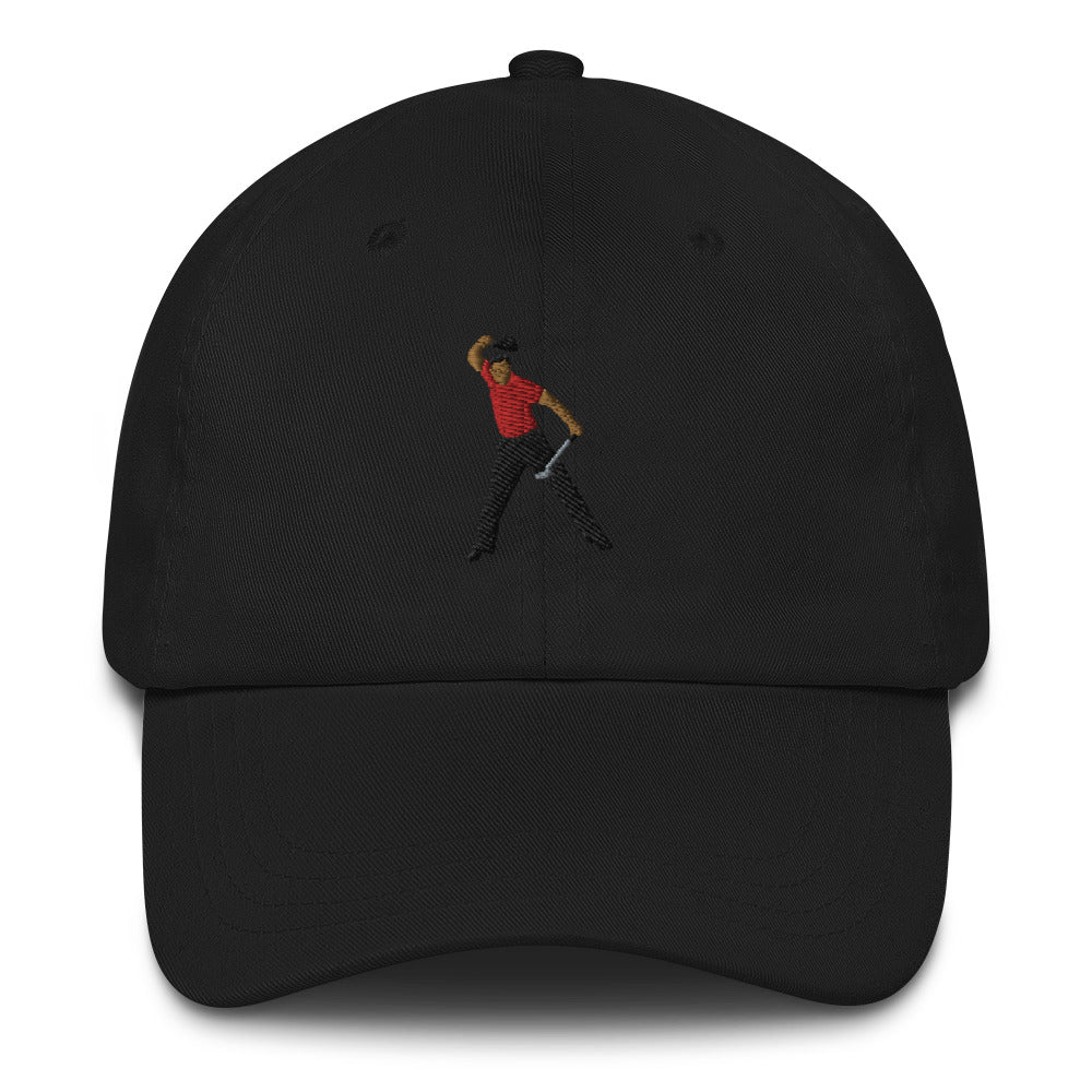 2008 Dad hat-1